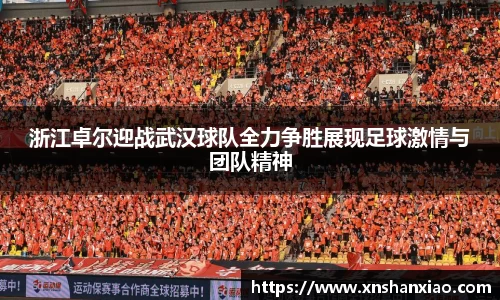 浙江卓尔迎战武汉球队全力争胜展现足球激情与团队精神